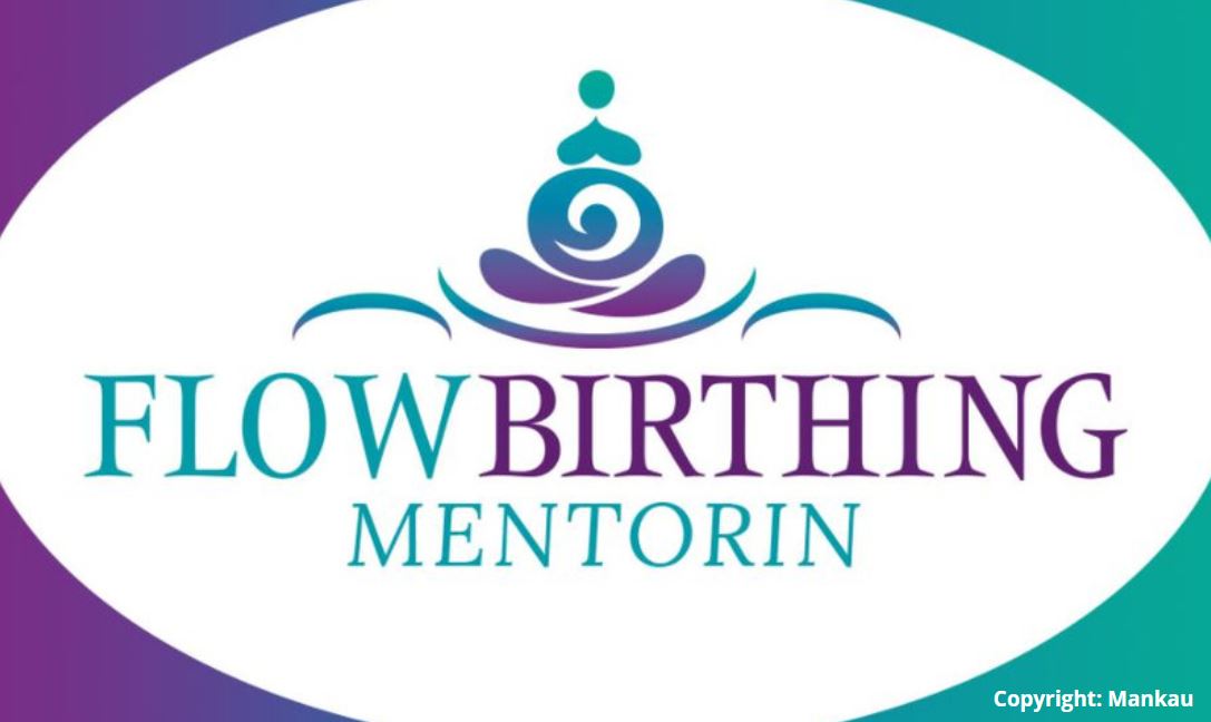 Logo Mentorin